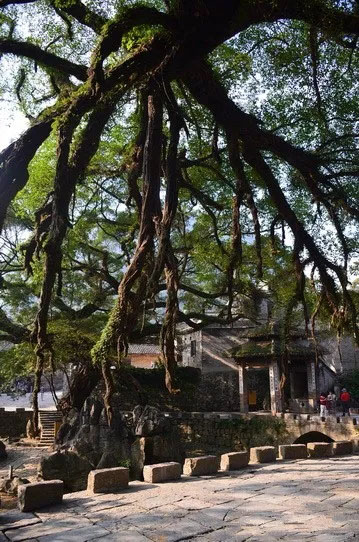 博皓游記 | 夏風(fēng)微醺的綺夢(mèng)，領(lǐng)略賀州黃姚古鎮(zhèn)、姑婆山閑憩之美-12