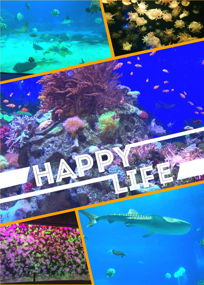 廣東博皓親子游：珠海長(zhǎng)隆海洋王國(guó)，探索海洋生物的奧秘，奇妙的動(dòng)物世界