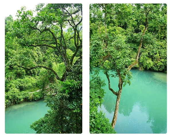 多彩貴州，魅力天下，2021年廣東博皓快樂貴州行-29