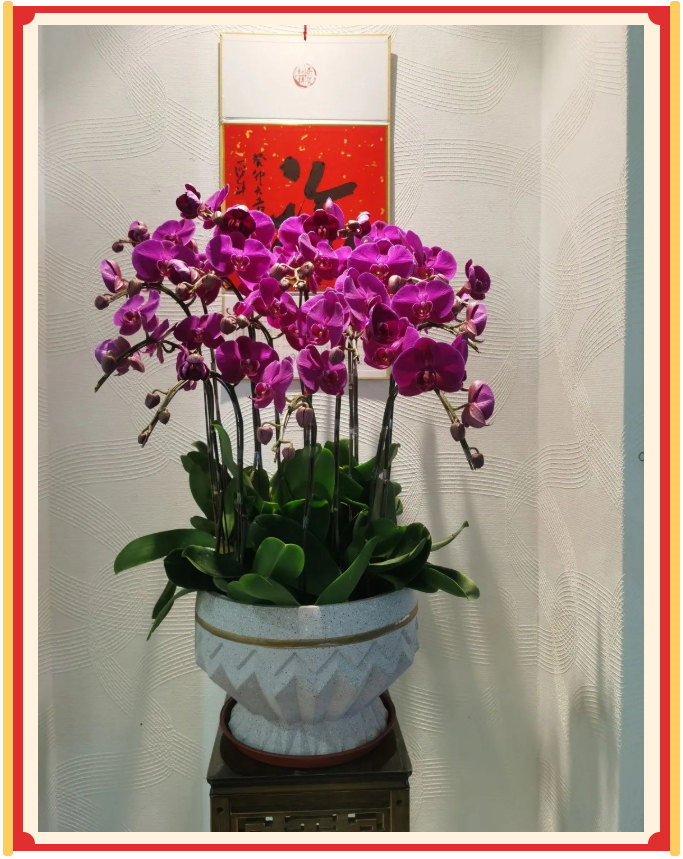 廣東博皓開(kāi)工大吉丨金虎騰躍，兔來(lái)運(yùn)轉(zhuǎn)           -23