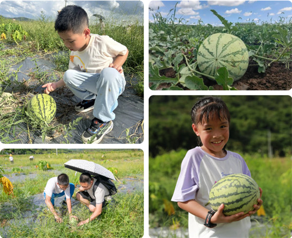 趣游盛夏，一路童行—2024年廣東博皓親子游   -12